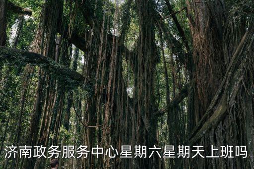 濟南政務服務網，濟南政務服務中心星期六星期天上班嗎