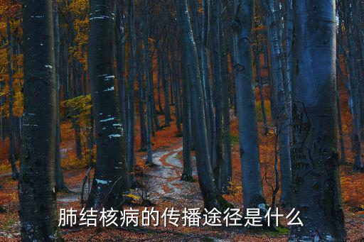肺結核病的傳播途徑是什么