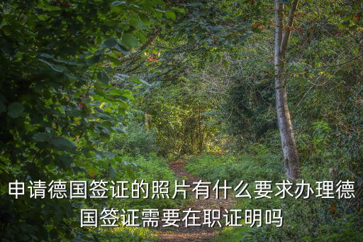 申請(qǐng)德國(guó)簽證的照片有什么要求辦理德國(guó)簽證需要在職證明嗎