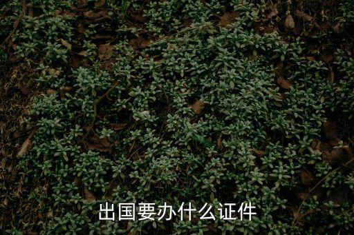 出境證件，出境旅游要帶什么證件