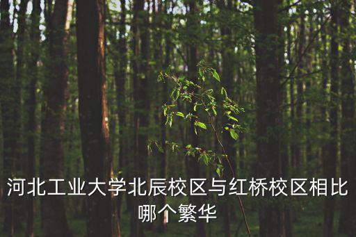 河北工業大學北辰校區，河北工業大學有幾個校區及校區地址 哪個校區最好