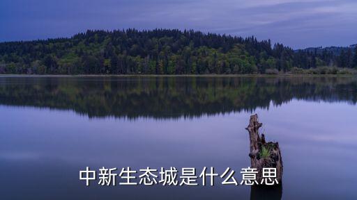 中新生態城是什么意思