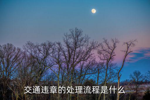 交通違章的處理流程是什么