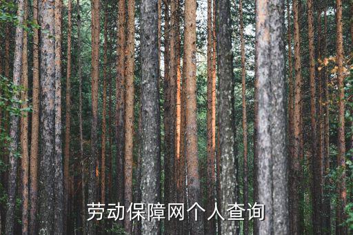 勞動(dòng)保障信息網(wǎng)，勞動(dòng)保障信息網(wǎng)絡(luò)的主要功能請(qǐng)幫忙給出正確答案和分析謝謝
