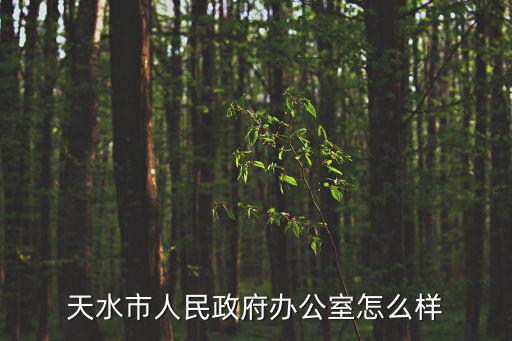天水市人民政府辦公室怎么樣