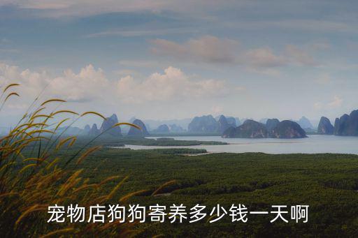 寵物狗寄養，寄養狗狗一天多少錢