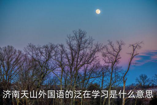 濟南天山外國語的泛在學習是什么意思