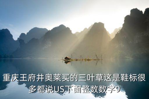重慶王府井奧萊買的三葉草這是鞋標很多都說US下面整數數字9