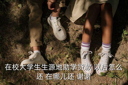 在校大學生生源地助學貸款 以后怎么還 在哪兒還 謝謝