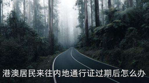 港澳居民來往內地通行證，怎么查詢港澳居民來往內地通行證