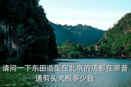 請問一下東田造型在北京的店都在哪普通剪頭大概多少錢