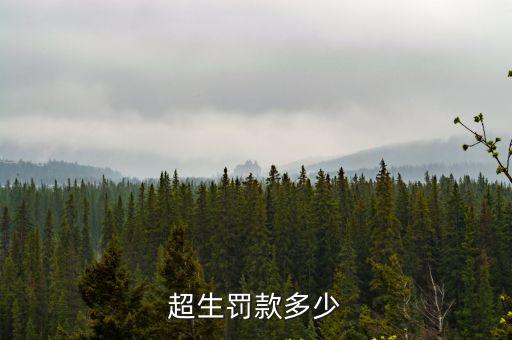 超生罰款標(biāo)準(zhǔn)，超生罰款多少