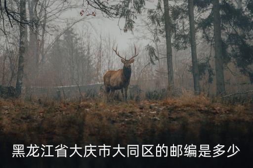 黑龍江省大慶市大同區的郵編是多少