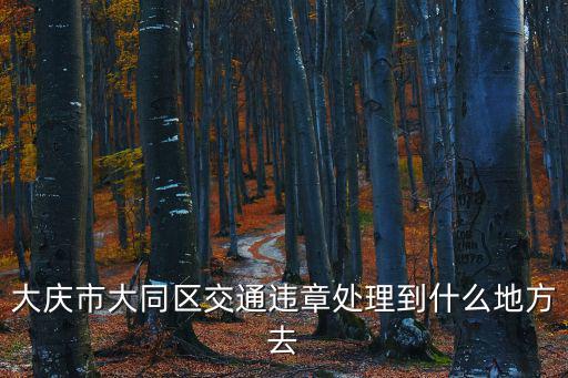 大慶市大同區交通違章處理到什么地方去