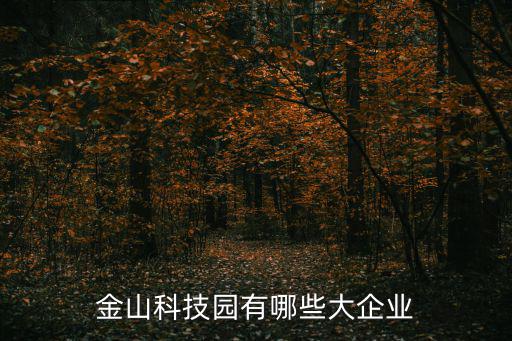 金山科技園有哪些大企業(yè)