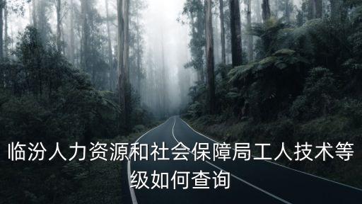 臨汾人力資源和社會保障局工人技術等級如何查詢