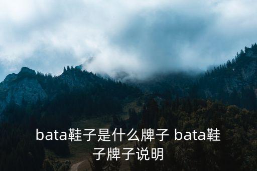 bata鞋，BATA在1906年推出的第一款輕便皮紡織鞋的名字是