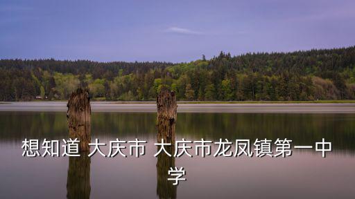 龍鳳鎮，夢想世界龍鳳鎮是干什么的