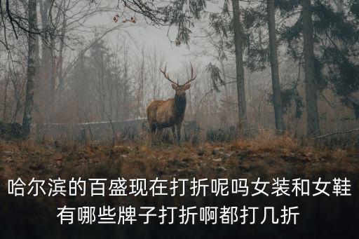 女鞋打折，哈爾濱的百盛現在打折呢嗎女裝和女鞋有哪些牌子打折啊都打幾折
