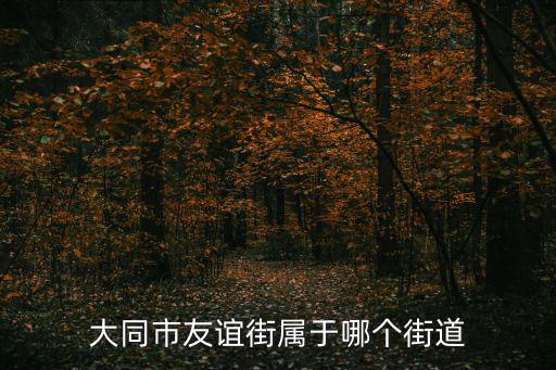 友誼街道，哈爾濱友誼路41號(hào)屬于哪個(gè)街道