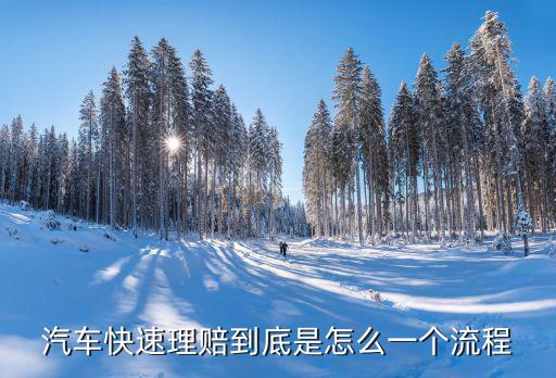 快速理賠，汽車快速理賠到底是怎么一個流程