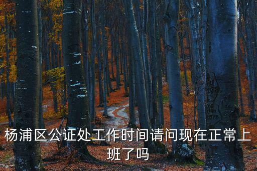 楊浦區公證處工作時間請問現在正常上班了嗎