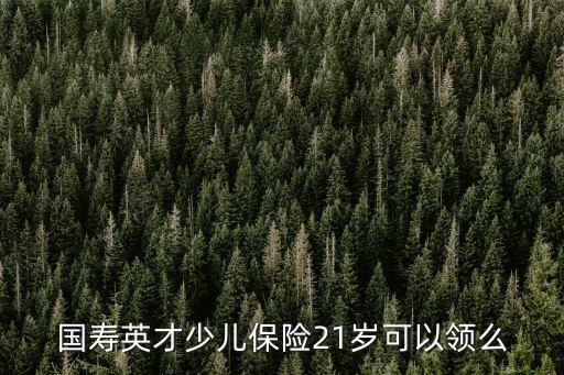 國壽英才少兒保險21歲可以領么