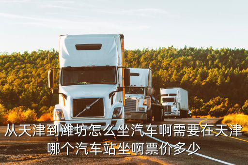 從天津到濰坊怎么坐汽車啊需要在天津哪個汽車站坐啊票價多少