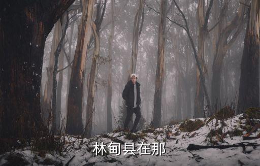 林甸縣在那