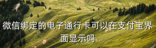 電子通，微信綁定的電子通行卡可以在支付寶界面顯示嗎