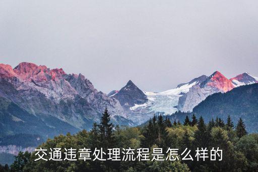 交通違章處理，車輛違章怎么處理