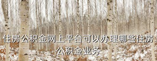 住房公積金網(wǎng)上平臺(tái)可以辦理哪些住房公積金業(yè)務(wù)