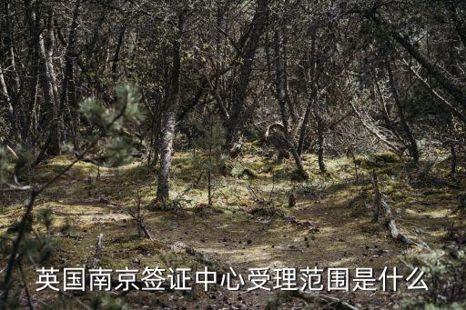 南京英國簽證中心，南京辦理英國簽證怎樣辦理