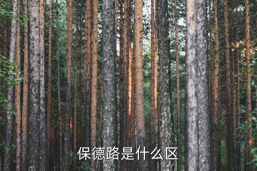 保德路是什么區