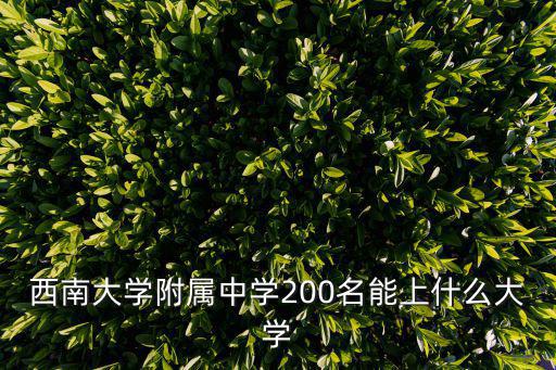 西南大學附屬中學200名能上什么大學