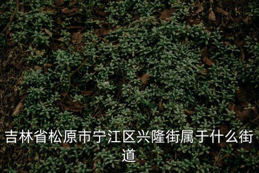 吉林省松原市寧江區興隆街屬于什么街道