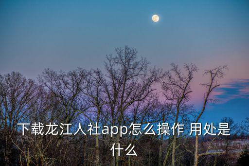 下載龍江人社app怎么操作 用處是什么