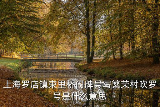 上海羅店鎮束里橋門牌號寫繁榮村吹羅號是什么意思