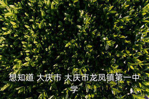 想知道 大慶市 大慶市龍鳳鎮第一中學