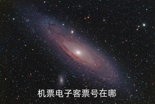 電子客票號，機票電子客票號在哪