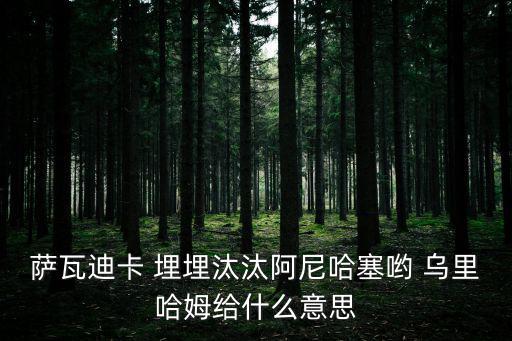 薩瓦迪卡 埋埋汰汰阿尼哈塞喲 烏里哈姆給什么意思