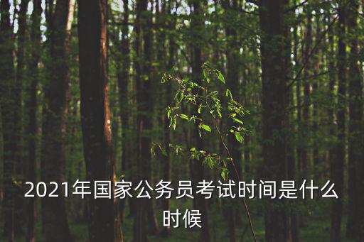 2021年國考，2021年國家公務員考試時間是什么時候