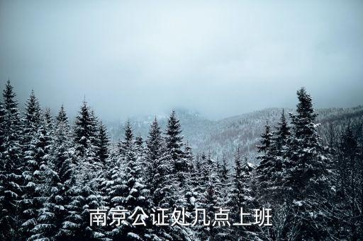 南京公證處幾點上班