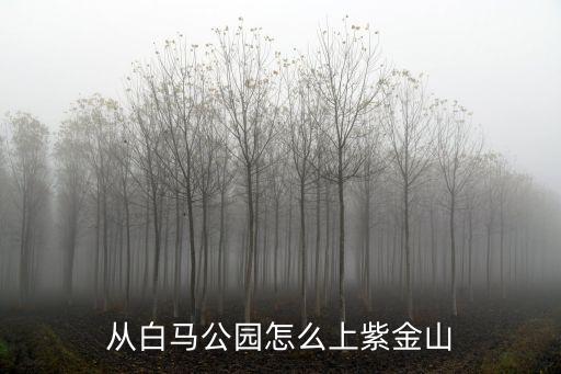從白馬公園怎么上紫金山