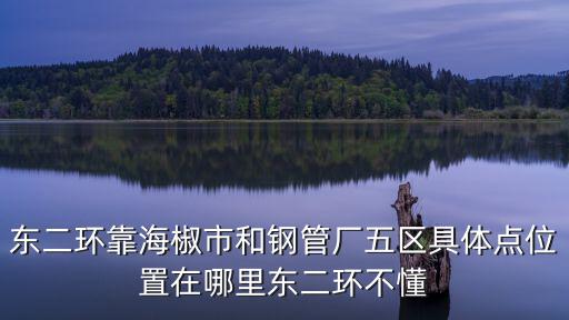 鋼管廠五區，請問成都鋼管廠五區小郡肝串串香的特色是什么