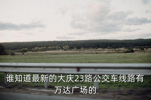 誰知道最新的大慶23路公交車線路有萬達廣場的