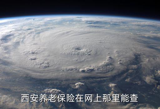 陜西養(yǎng)老保險(xiǎn)網(wǎng)上服務(wù)平臺(tái)，西安養(yǎng)老保險(xiǎn)在網(wǎng)上那里能查