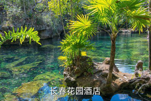 長春花園酒店，長春站到花園酒店怎么走