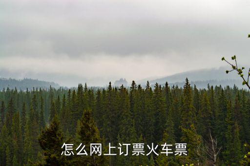 網上購票網址，請問一下網上訂火車票的網址是
