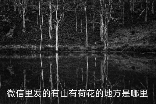 微信里發(fā)的有山有荷花的地方是哪里